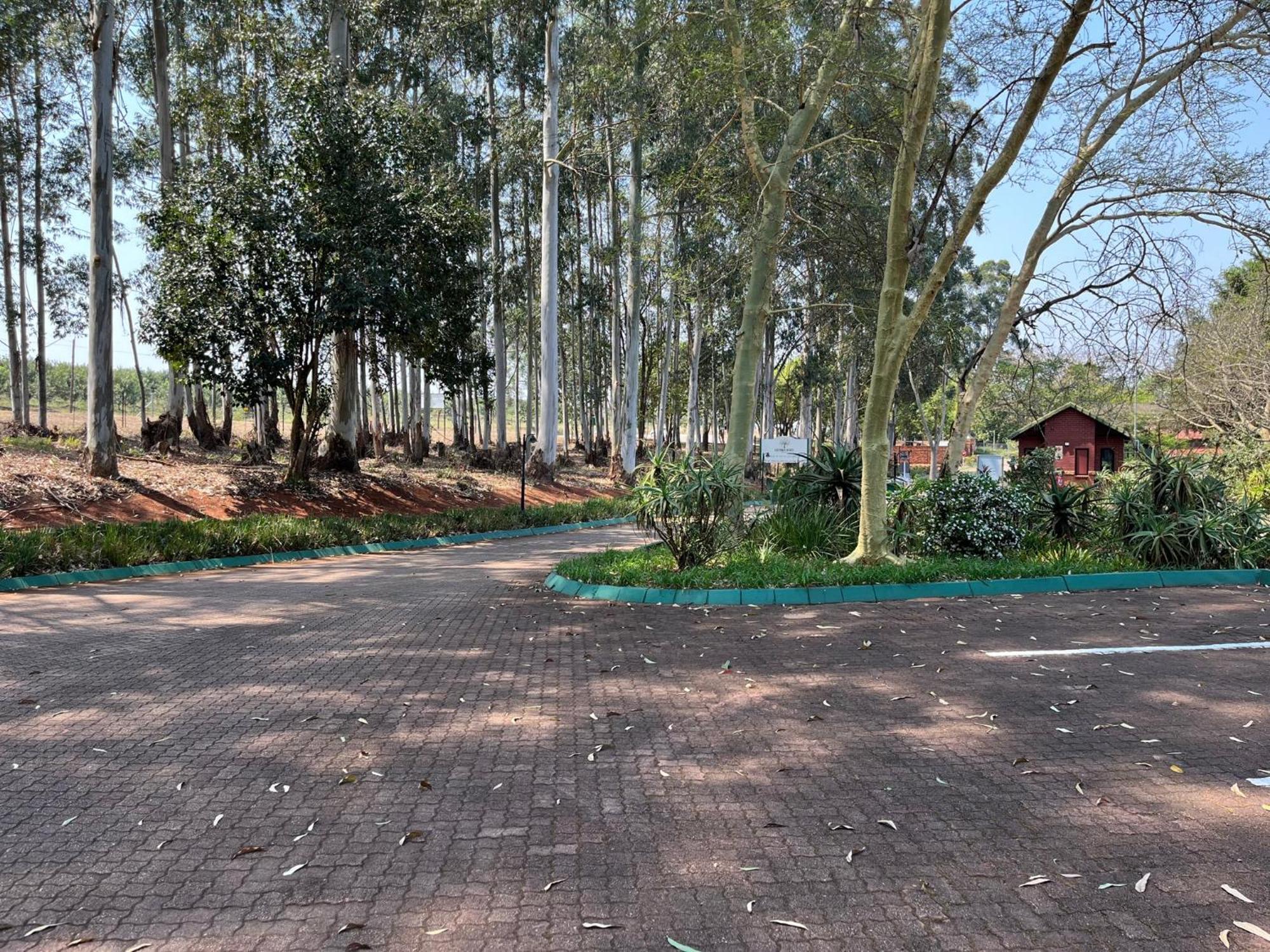 Thyme Inn On Greenway ไวท์ริเวอร์ ภายนอก รูปภาพ